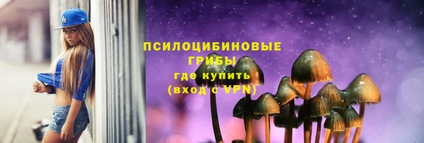 ешки Нефтегорск