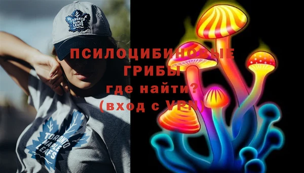 крисы Абдулино